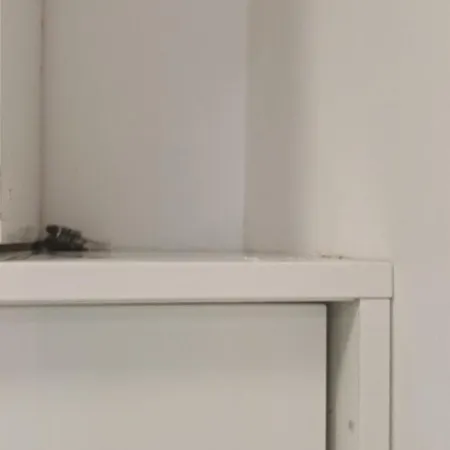 Apartment Cradle Of Belgrad