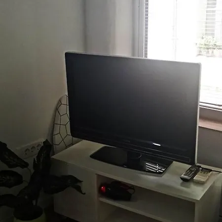 Apartment Cradle Of *