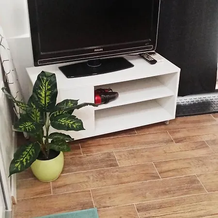Apartment Cradle Of