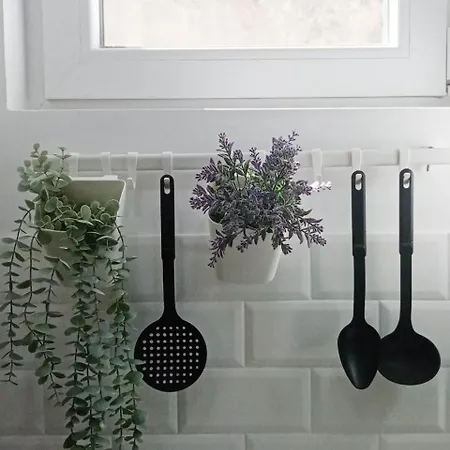 Cradle Of * Belgrade